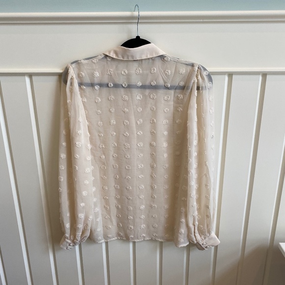 Cream sheer button down - Picture 2 of 2
